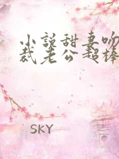 小说甜妻吻安总裁老公超棒的