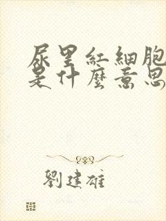 尿里红细胞偏高是什么意思