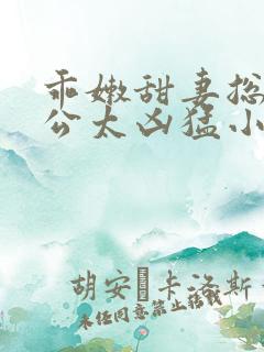 乖嫩甜妻总裁老公太凶猛小说免费阅读