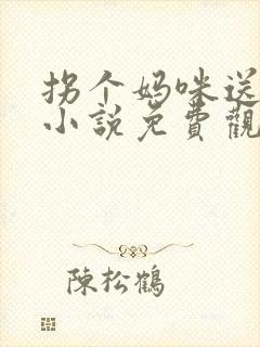 拐个妈咪送爹地小说免费观看