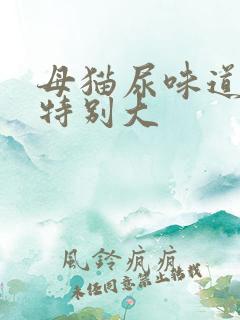 母猫尿味道突然特别大