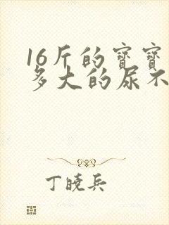 16斤的宝宝穿多大的尿不湿