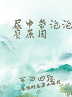 尿中带泡泡是什么原因