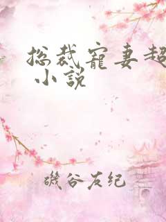 总裁宠妻超给力 小说