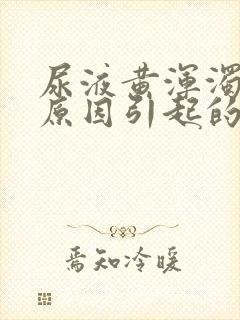 尿液黄浑浊什么原因引起的