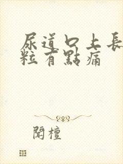 尿道口上长小肉粒有点痛