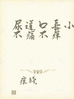 尿道口长小肉粒不痛不痒