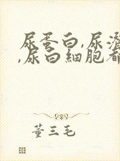 尿蛋白,尿潜血,尿白细胞都有加号