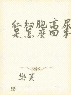 红细胞高尿隐血是怎么回事