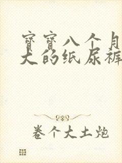 宝宝八个月用多大的纸尿裤