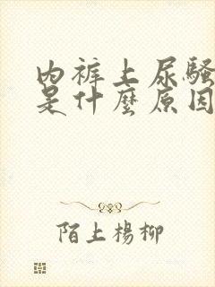 内裤上尿骚味重是什么原因女