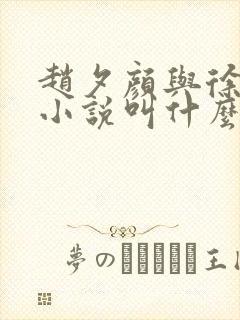 赵夕颜与徐靖的小说叫什么