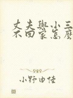 丈夫与小三同居不回家怎么办