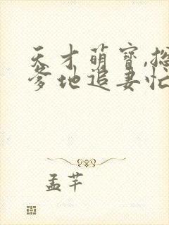 天才萌宝,总裁爹地追妻忙