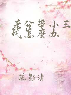 老公带小三回家我怎么办