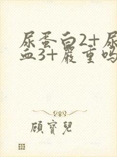 尿蛋白2+尿潜血3+严重吗