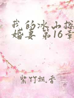 我的冰山总裁未婚妻 第16章