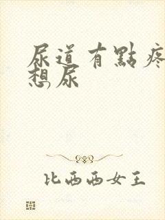 尿道有点疼总是想尿