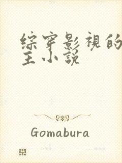 综穿影视的双男主小说