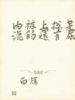 内裤上总是湿漉漉的还有尿骚味怎么回事