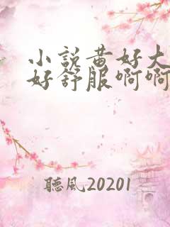 小说黄好大好爽好舒服啊啊啊啊