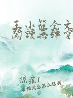 王小筱全文免费阅读无弹窗笔趣阁