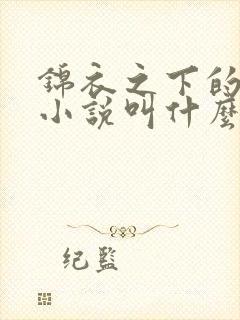 锦衣之下的原著小说叫什么