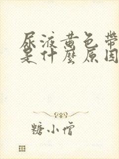 尿液黄色带泡沫是什么原因