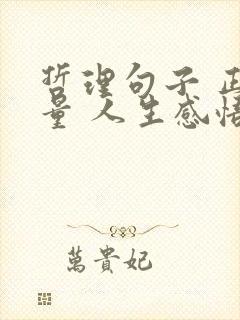 哲理句子 正能量 人生感悟 现实