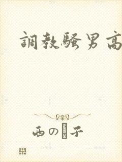 调教骚男高h