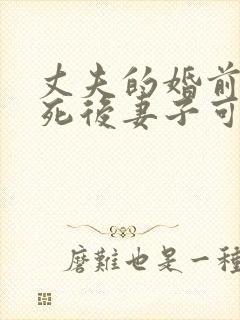 丈夫的婚前财产死后妻子可以继承吗