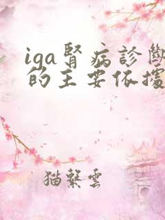 iga肾病诊断的主要依据是什么