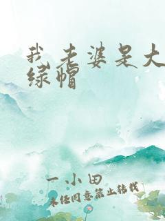 我老婆是大明星绿帽