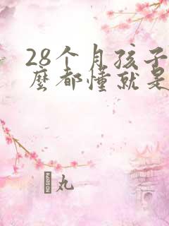 28个月孩子什么都懂就是不说话