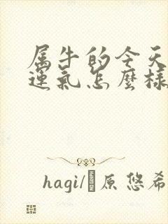 属牛的今天打牌运气怎么样