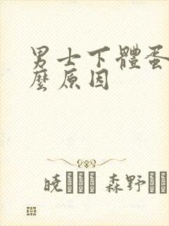 男士下体蛋疼什么原因