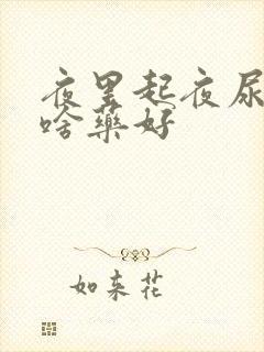 夜里起夜尿多吃啥药好