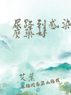 尿路到感染吃什么药好