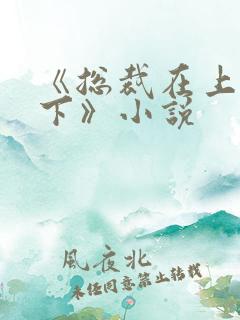 《总裁在上我在下》小说