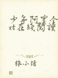 少年阿宾全文txt在线阅读