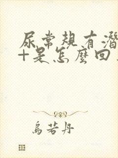 尿常规有潜血3+是怎么回事