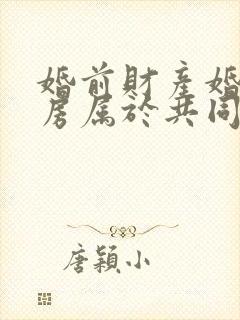 婚前财产婚后买房属于共同财产吗