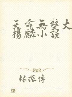 天命无双大反派杨麟小说