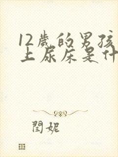 12岁的男孩晚上尿床是什么原因呢?