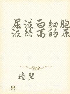 尿液白细胞和粘液丝高的原因