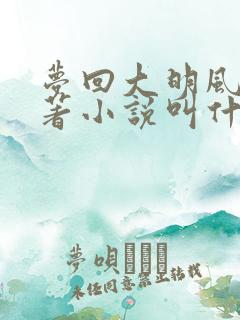 梦回大明风华原著小说叫什么