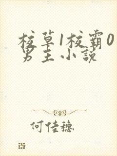 校草1校霸0双男主小说