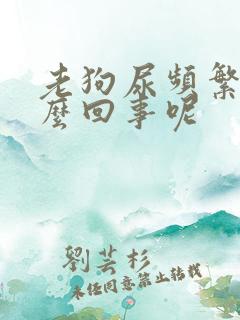 老狗尿频繁是怎么回事呢