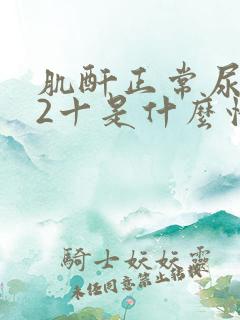 肌酐正常尿蛋白2十是什么情况