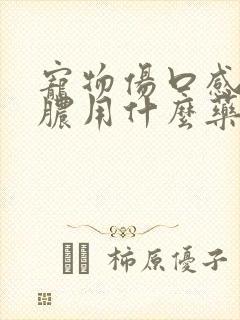 宠物伤口感染化脓用什么药好得快